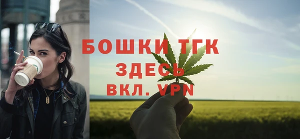 сатива Бабаево