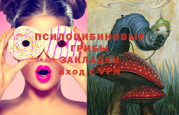 спайс Магадан