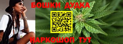 мдпв Будённовск