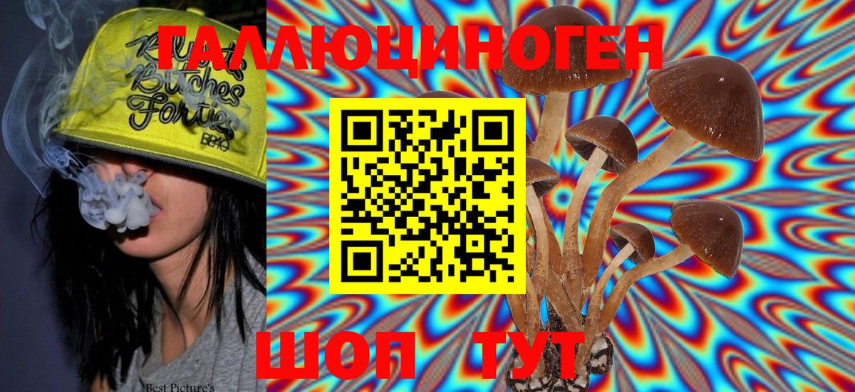 Галлюциногенные грибы Psilocybe  сколько стоит  Губкин 