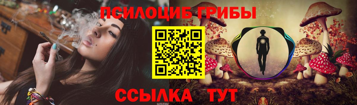 Галлюциногенные грибы мухоморы  цена наркотик  Псилоцибиновые грибы GOLDEN TEACHER  Губкин 